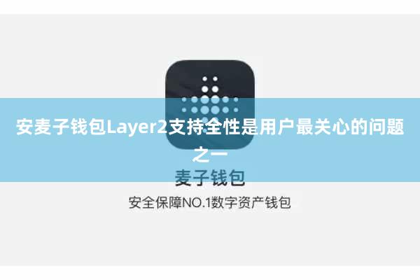 安麦子钱包Layer2支持全性是用户最关心的问题之一