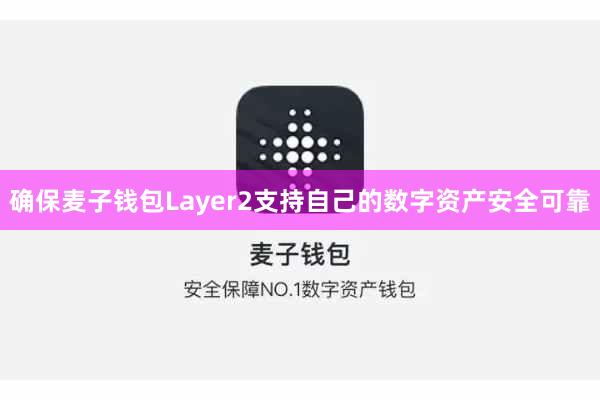 确保麦子钱包Layer2支持自己的数字资产安全可靠