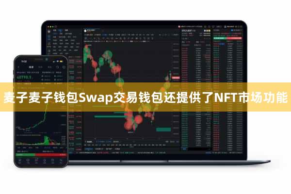 麦子麦子钱包Swap交易钱包还提供了NFT市场功能