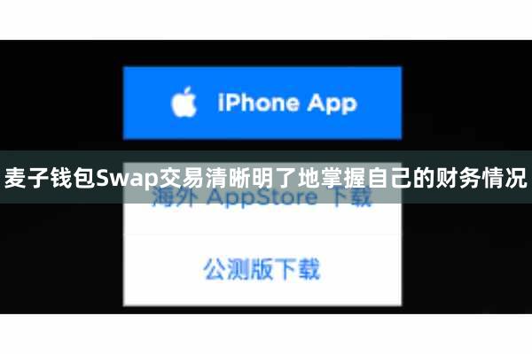 麦子钱包Swap交易清晰明了地掌握自己的财务情况