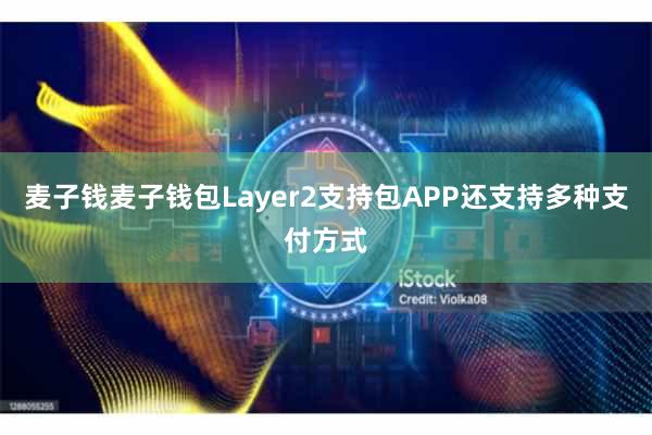 麦子钱麦子钱包Layer2支持包APP还支持多种支付方式