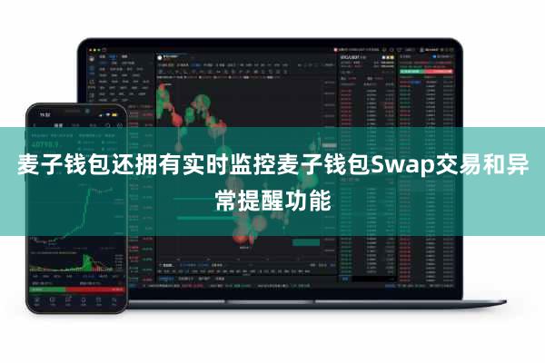 麦子钱包还拥有实时监控麦子钱包Swap交易和异常提醒功能