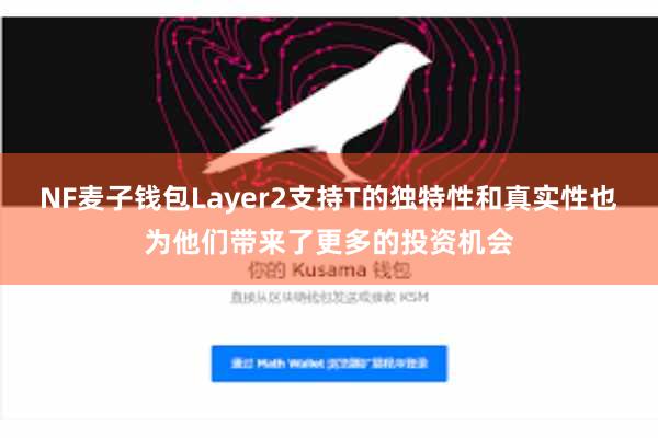 NF麦子钱包Layer2支持T的独特性和真实性也为他们带来了更多的投资机会