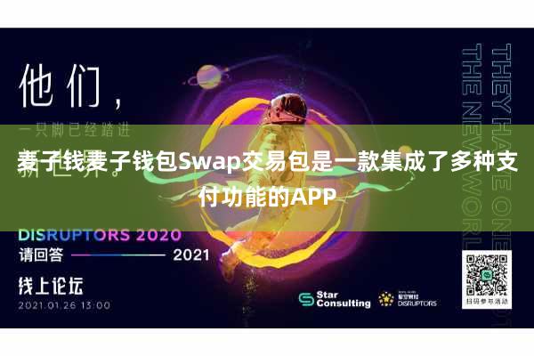 麦子钱麦子钱包Swap交易包是一款集成了多种支付功能的APP