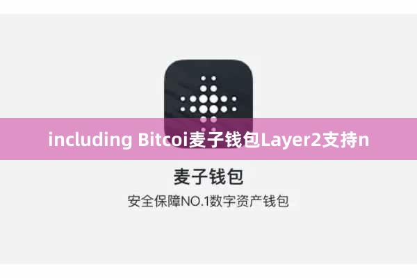 including Bitcoi麦子钱包Layer2支持n