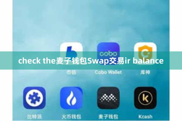 check the麦子钱包Swap交易ir balance