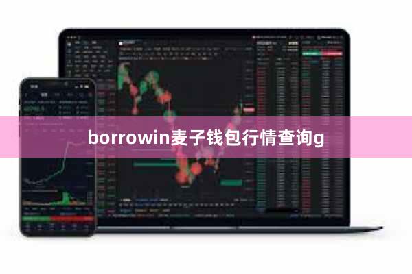 borrowin麦子钱包行情查询g