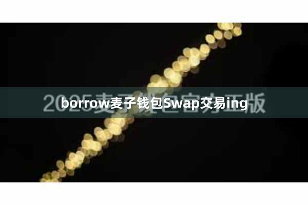 borrow麦子钱包Swap交易ing