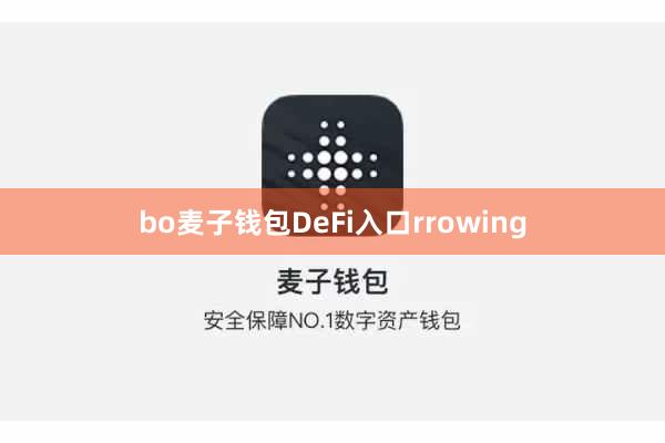 bo麦子钱包DeFi入口rrowing