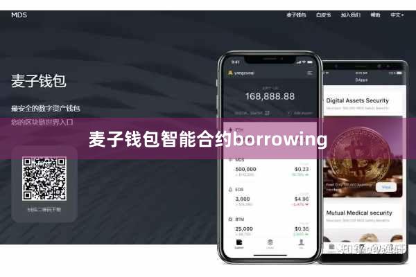 麦子钱包智能合约borrowing