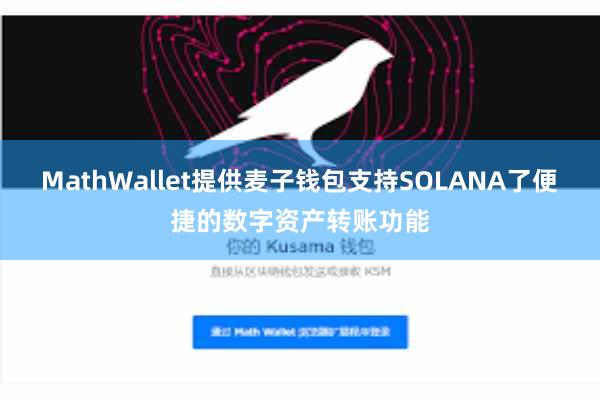 MathWallet提供麦子钱包支持SOLANA了便捷的数字资产转账功能