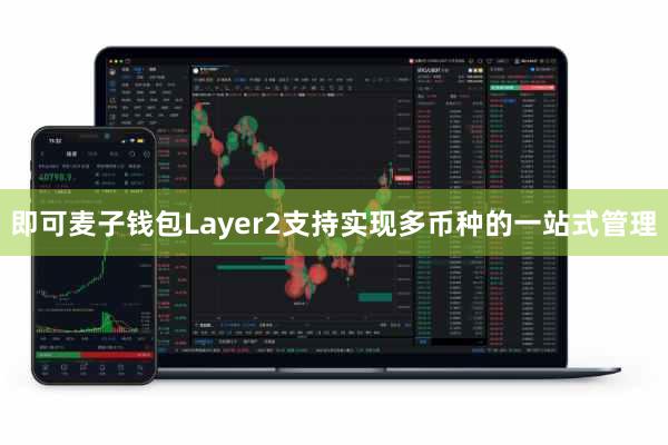 即可麦子钱包Layer2支持实现多币种的一站式管理