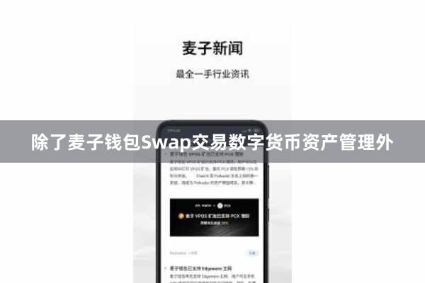 除了麦子钱包Swap交易数字货币资产管理外