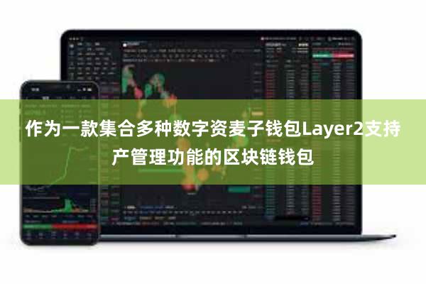 作为一款集合多种数字资麦子钱包Layer2支持产管理功能的区块链钱包