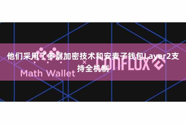 他们采用了多层加密技术和安麦子钱包Layer2支持全机制