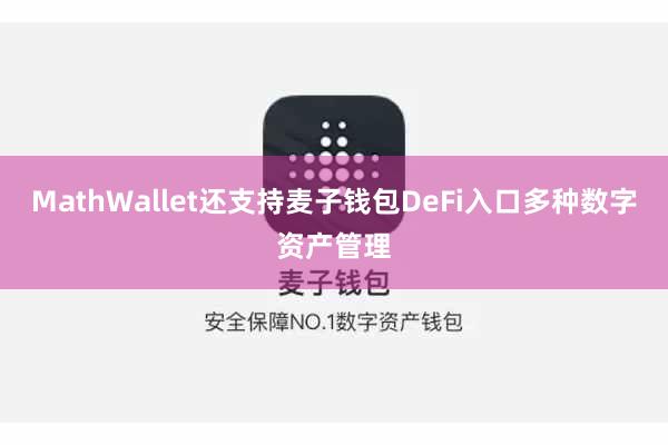 MathWallet还支持麦子钱包DeFi入口多种数字资产管理